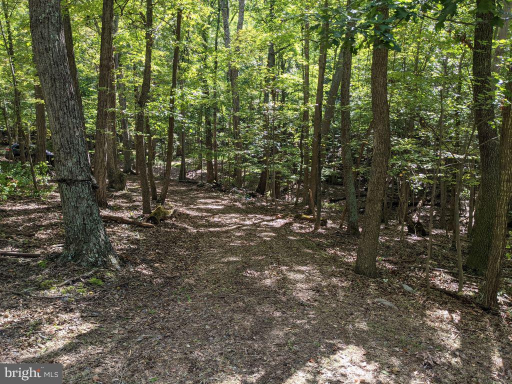 Lot 7 Ebenezer Road Bluemont, VA 20135 - Photo 19 of 26