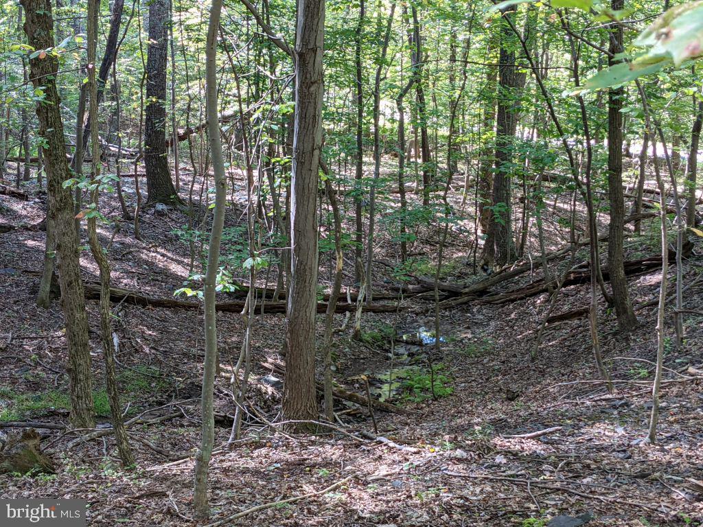 Lot 7 Ebenezer Road Bluemont, VA 20135 - Photo 20 of 26