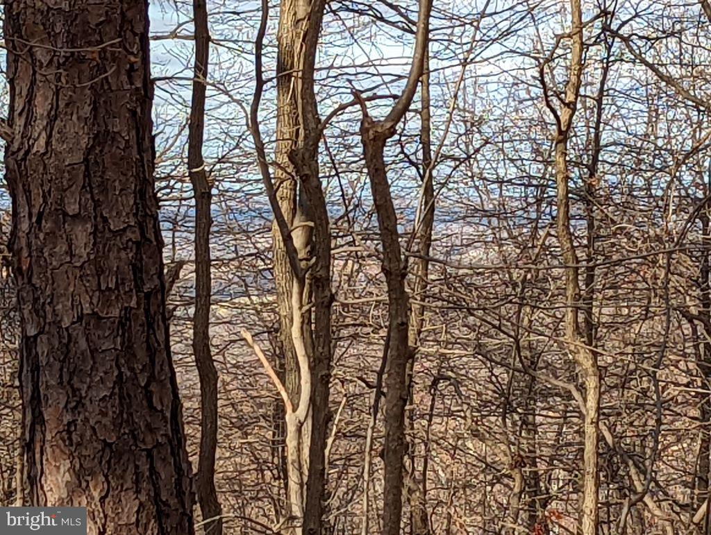 Lot 7 Ebenezer Road Bluemont, VA 20135 - Photo 2 of 26