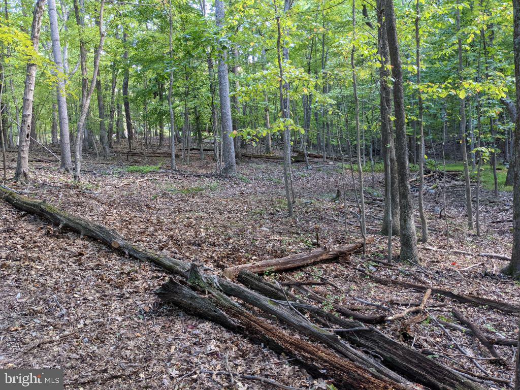 Lot 7 Ebenezer Road Bluemont, VA 20135 - Photo 21 of 26