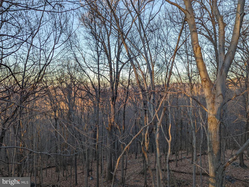 Lot 7 Ebenezer Road Bluemont, VA 20135 - Photo 3 of 26