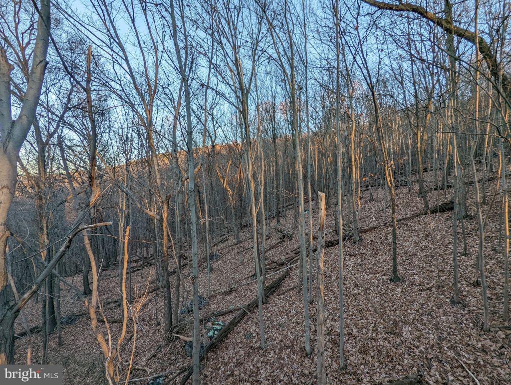 Lot 7 Ebenezer Road Bluemont, VA 20135 - Photo 4 of 26
