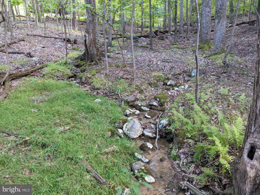 Lot 7 Ebenezer Road Bluemont, VA 20135 - Photo 5 of 26