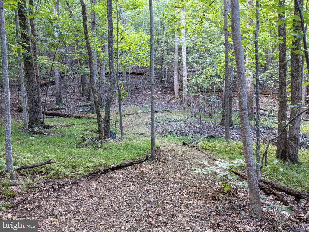 Lot 7 Ebenezer Road Bluemont, VA 20135 - Photo 6 of 26
