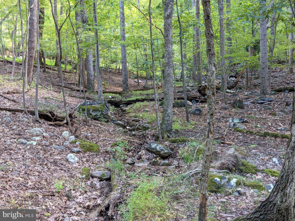 Lot 7 Ebenezer Road Bluemont, VA 20135 - Photo 7 of 26