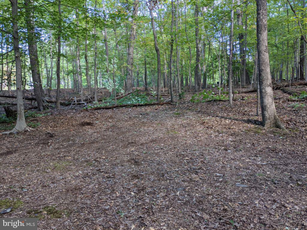 Lot 7 Ebenezer Road Bluemont, VA 20135 - Photo 8 of 26