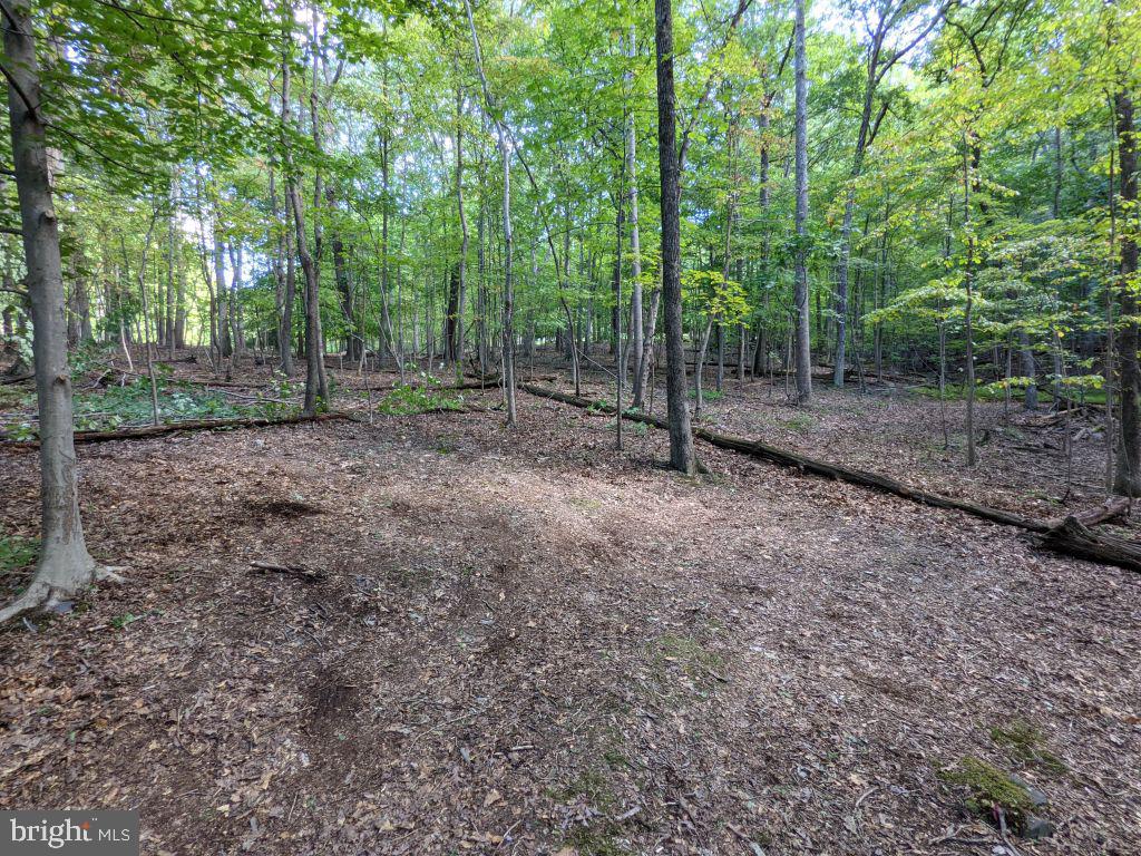 Lot 7 Ebenezer Road Bluemont, VA 20135 - Photo 9 of 26