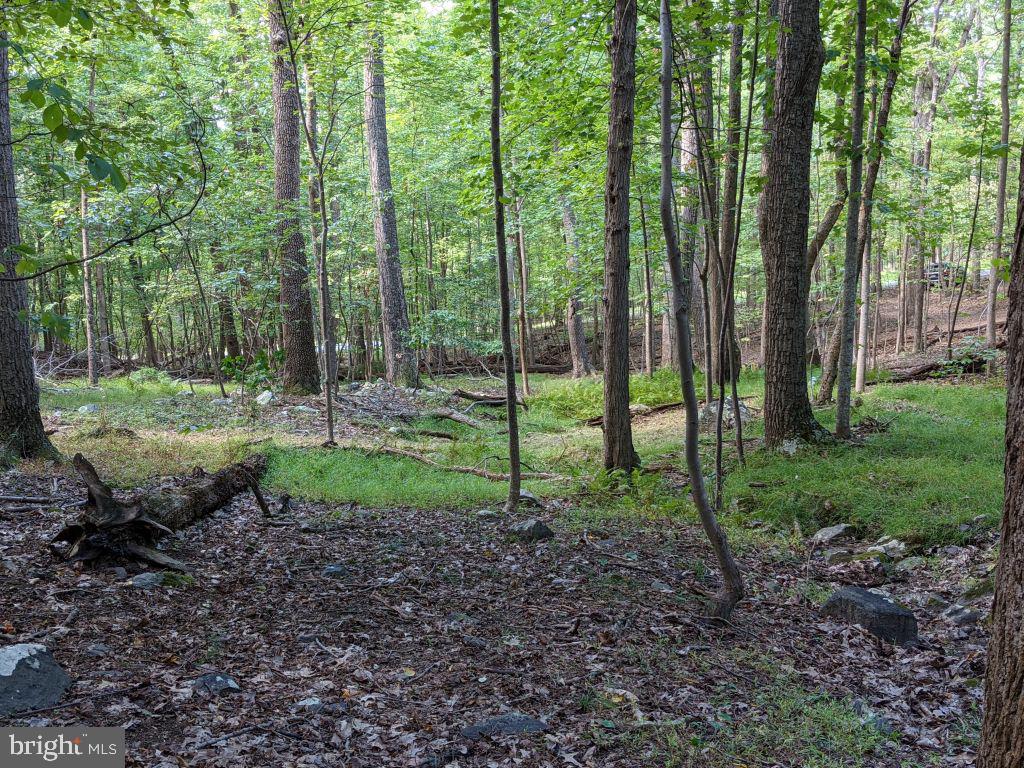 Lot 7 Ebenezer Road Bluemont, VA 20135 - Photo 10 of 26