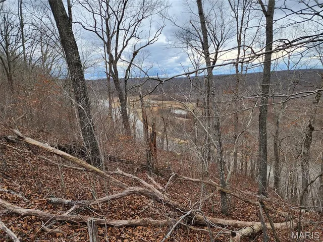 $195,000 | 333 Aa Highway, Piedmont, MO 63957