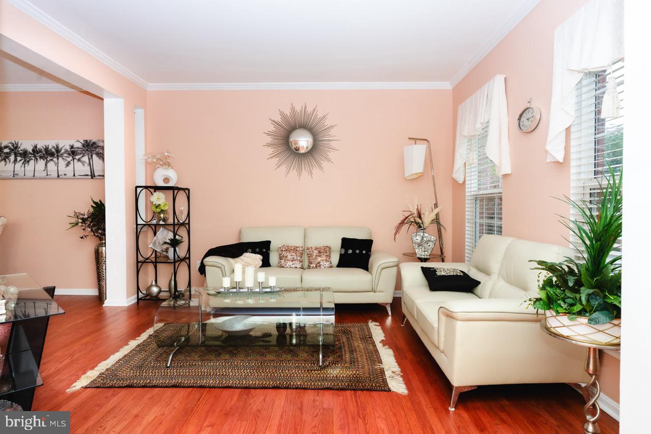 18278 Maple Spring Court Leesburg, VA 20176 - Photo 6 of 35 Charming living space with warm hues.