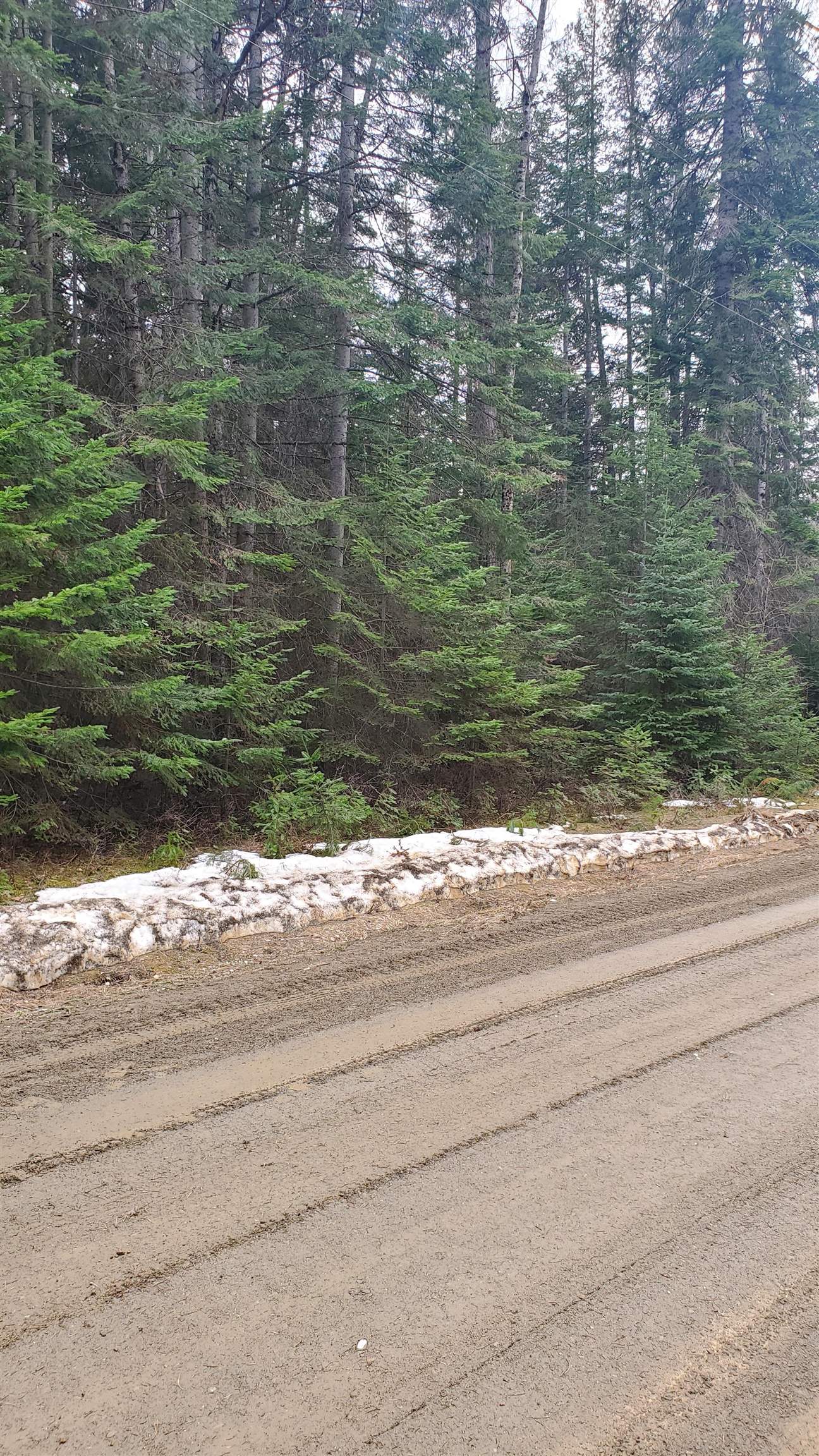 L3 Rustic Road Cusick, WA 99119 - Photo 4 of 6