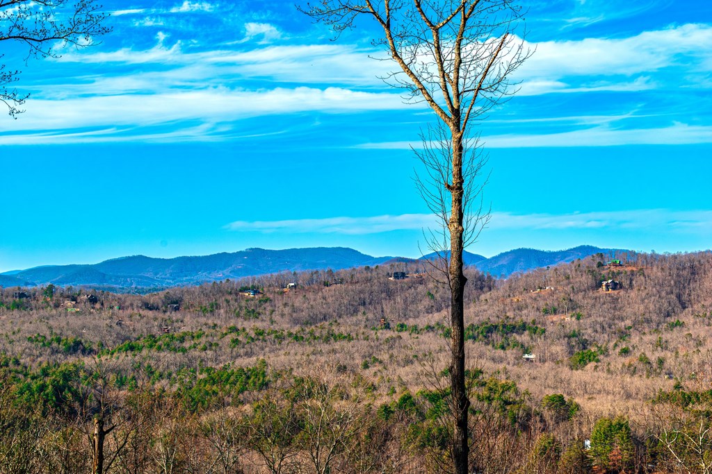 Lot 8 Scouts Overlook Morganton, GA 30560 - Photo 5 of 5