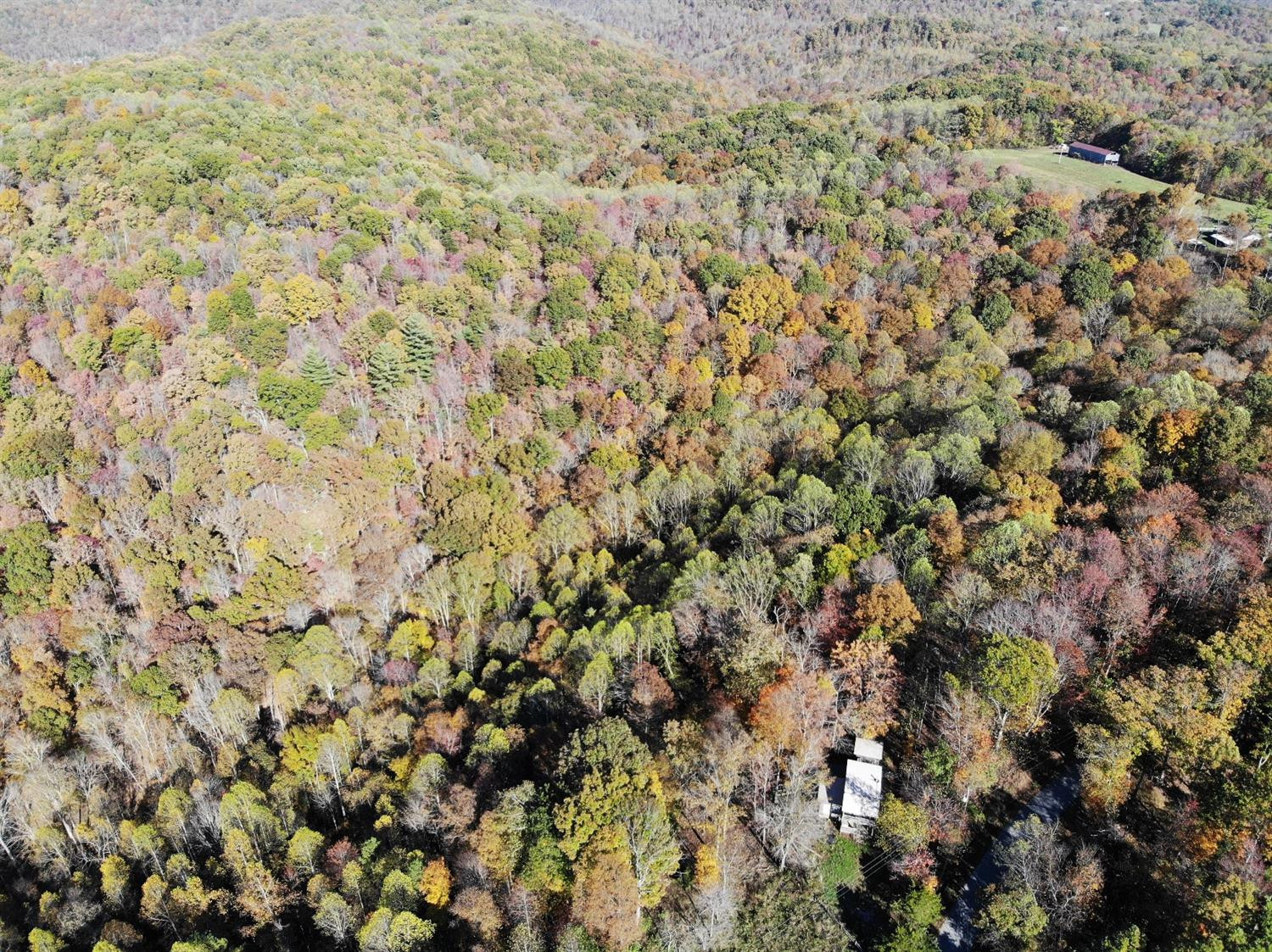 3677 Chestnut Flat Road McKee, KY 40447 - Photo 12 of 28 Photo 12