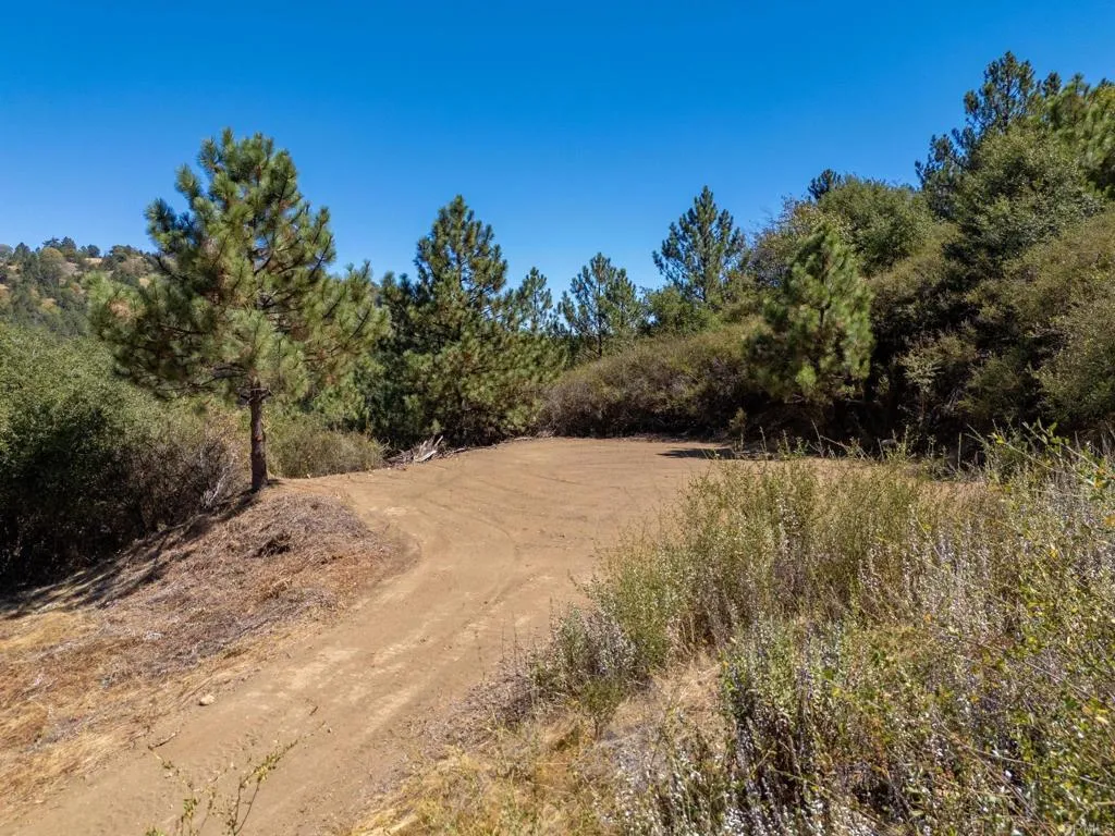 61 East Grade Road Palomar Mountain, CA 92060 - Photo 9 of 26 Gallery Image 9