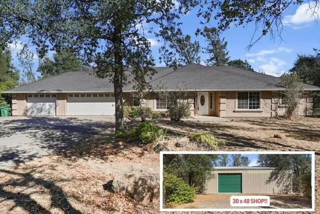 a small garden covered with tall trees