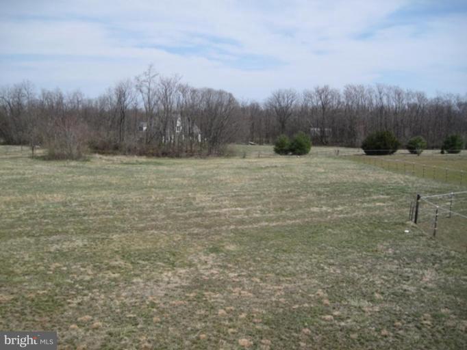 290 Ruebuck Road Clear Brook, VA 22624 - Photo 13 of 28 a view of a dry yard with trees