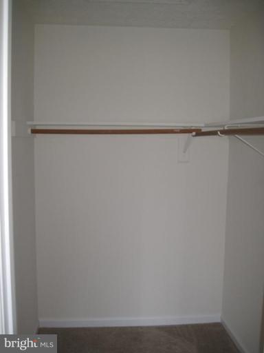 290 Ruebuck Road Clear Brook, VA 22624 - Photo 22 of 28 a close up view of racks on the wall
