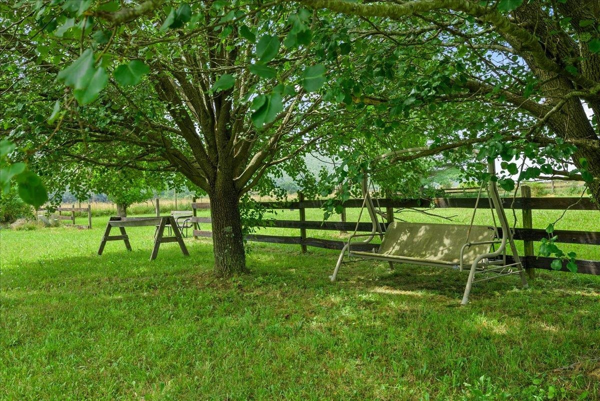 172 Ramsey Gap Road Goshen, VA 24439 - Photo 5 of 51 Gallery Image 5