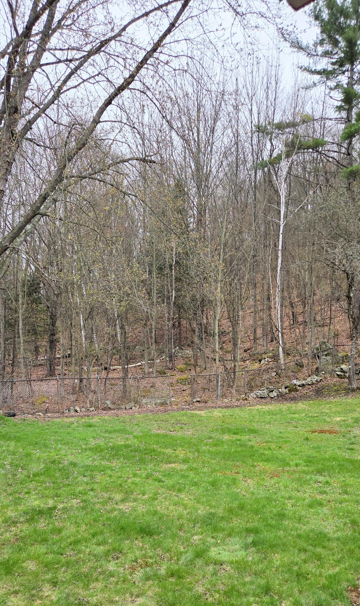 1 Backfield Road Rumford, ME 04276 - Photo 23 of 32 Back yard
