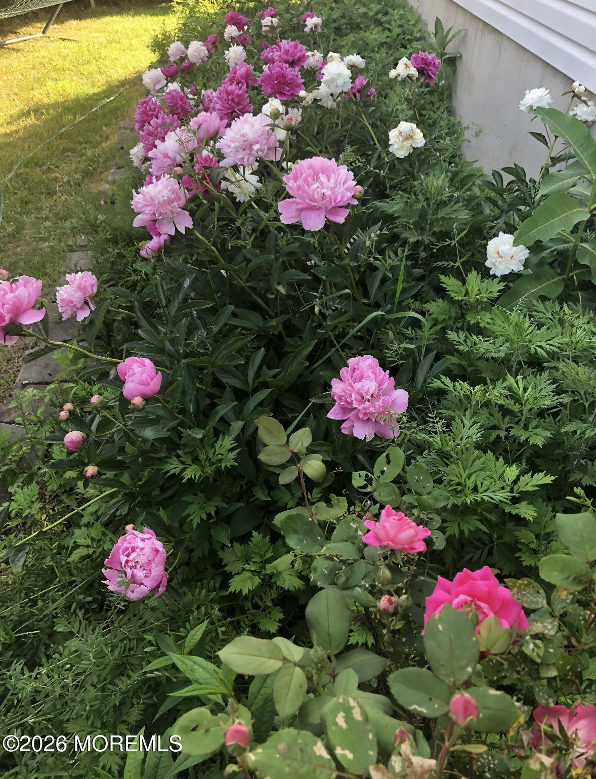 10 Rockingham Court Manalapan, NJ 07726 - Photo 65 of 91 a pink flowers in the garden
