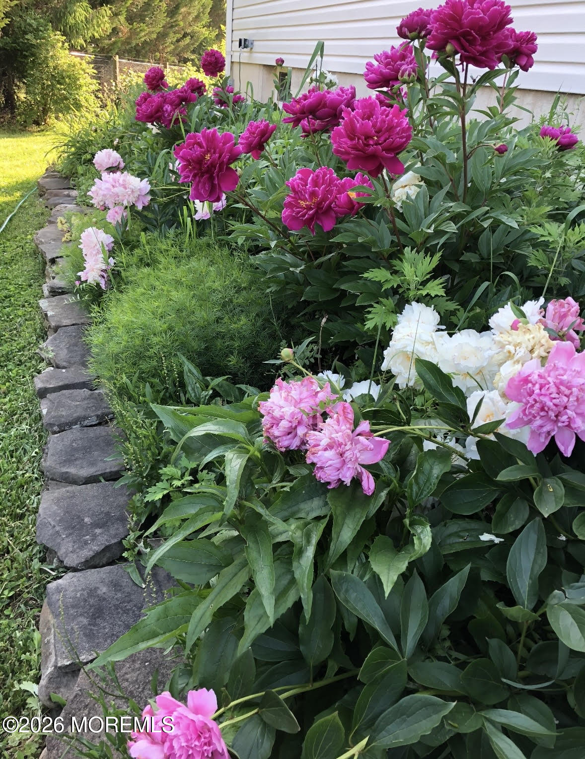 10 Rockingham Court Manalapan, NJ 07726 - Photo 66 of 91 a view of a flower