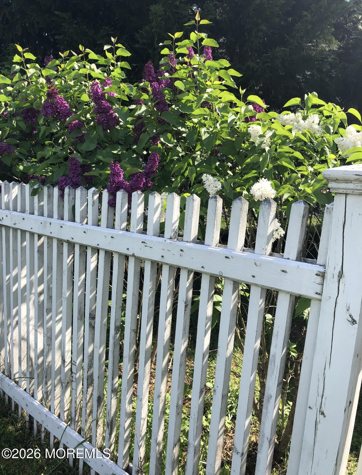 10 Rockingham Court Manalapan, NJ 07726 - Photo 72 of 91 a view of a wooden fence