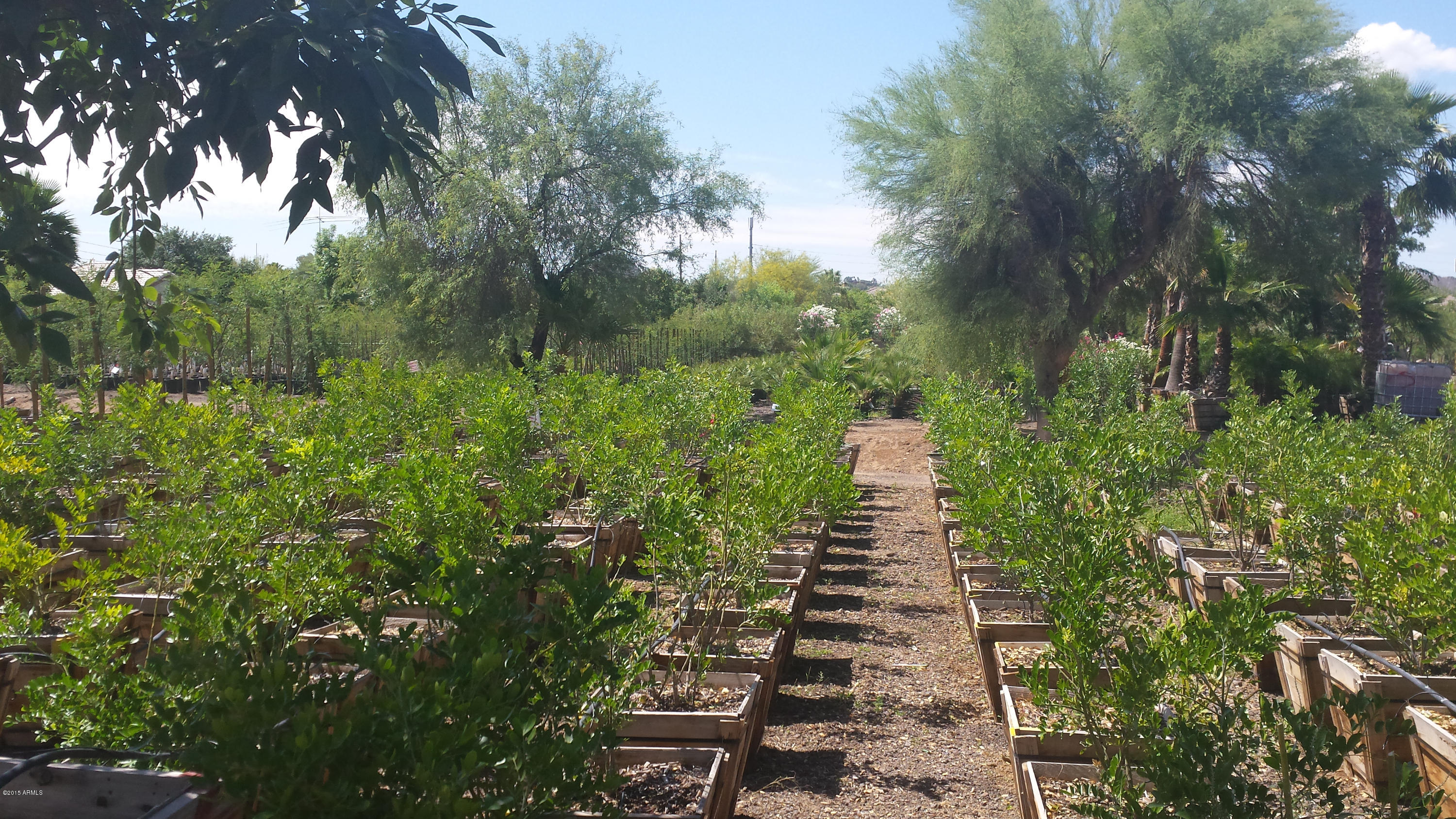 737 East Hearn Road Phoenix, AZ 85022 - Photo 29 of 37 Back up to the Moon Vaeely Nursery 1