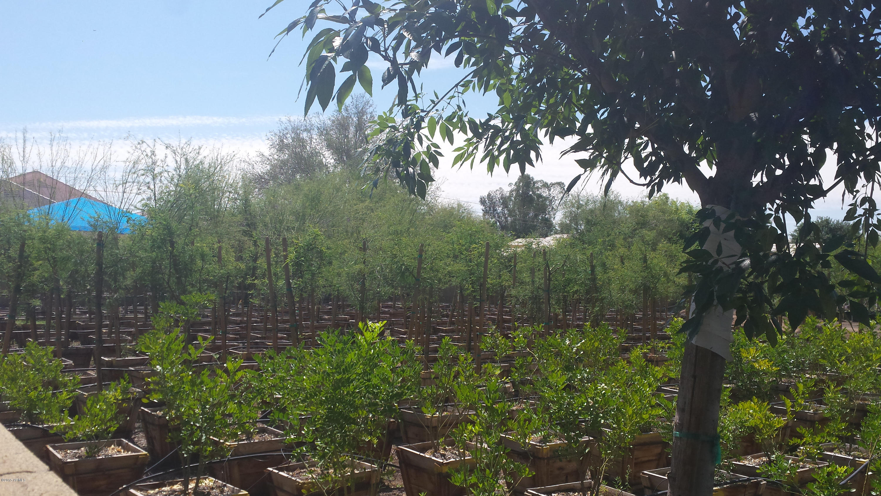 737 East Hearn Road Phoenix, AZ 85022 - Photo 30 of 37 Back up to nursery 2
