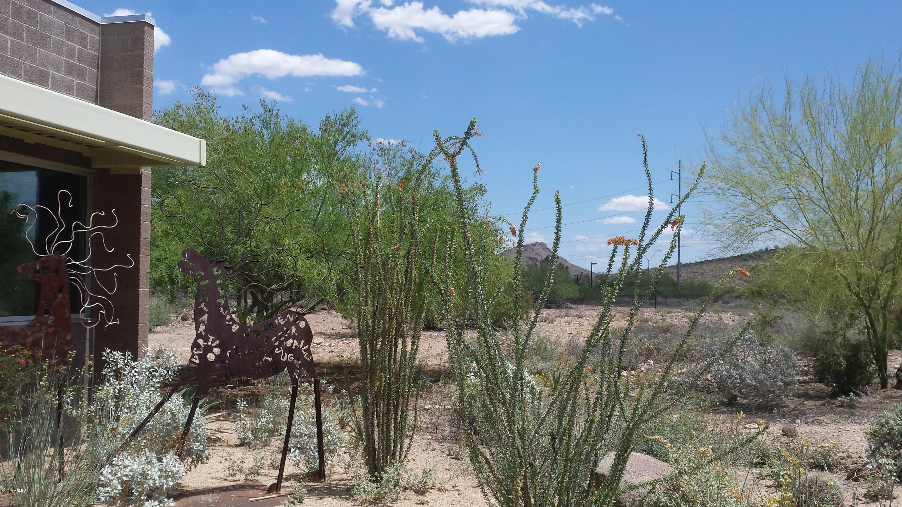 737 East Hearn Road Phoenix, AZ 85022 - Photo 35 of 37 When Relatives come to town!