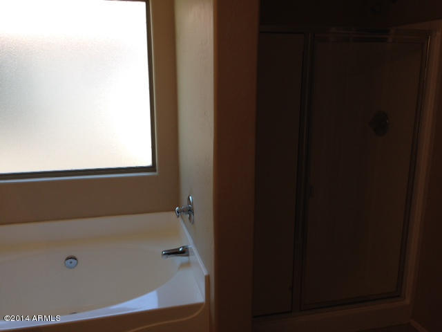 3779 East Chickadee Road Gilbert, AZ 85297 - Photo 16 of 21 TUB AND SHOWER MASTER