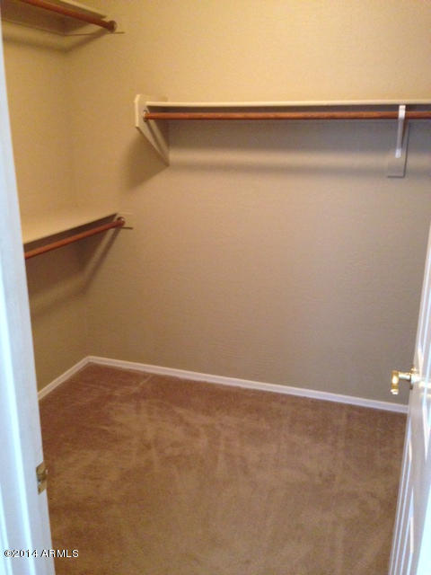 3779 East Chickadee Road Gilbert, AZ 85297 - Photo 17 of 21 MASTER WALK IN