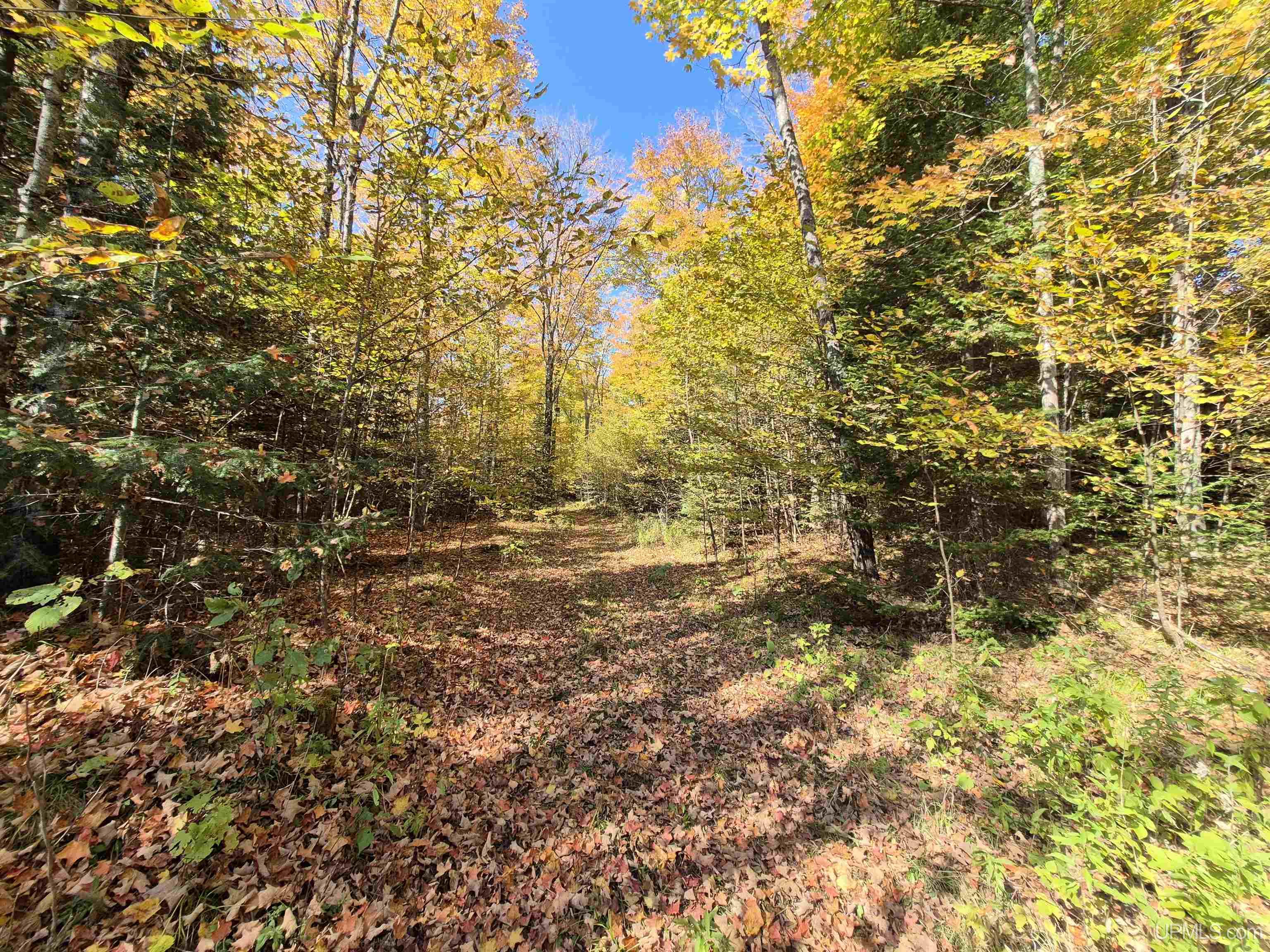 40-acres Mattson Road Felch, MI 49831 - Photo 33 of 45 Gallery Image 33