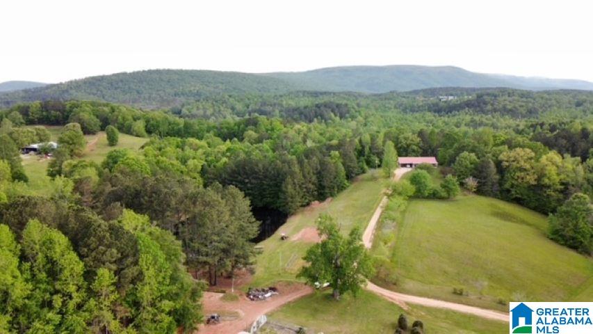 7307 County Road 31 Lineville, AL 36266 - Photo 3 of 30