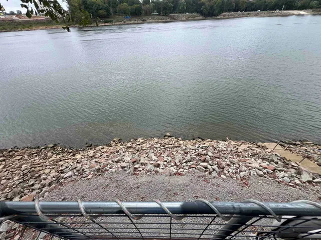 a house view with a backyard space