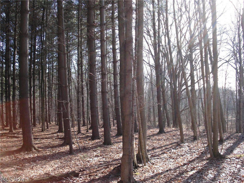 3000 Tower Road Dorset, OH 44032 - Photo 34 of 34 Gallery Image 34