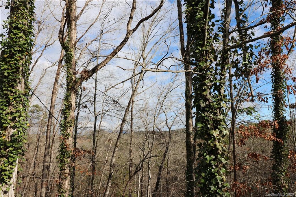 892 Calhoun Trail Rutherfordton, NC 28139 - Photo 29 of 36 Gallery Image 29