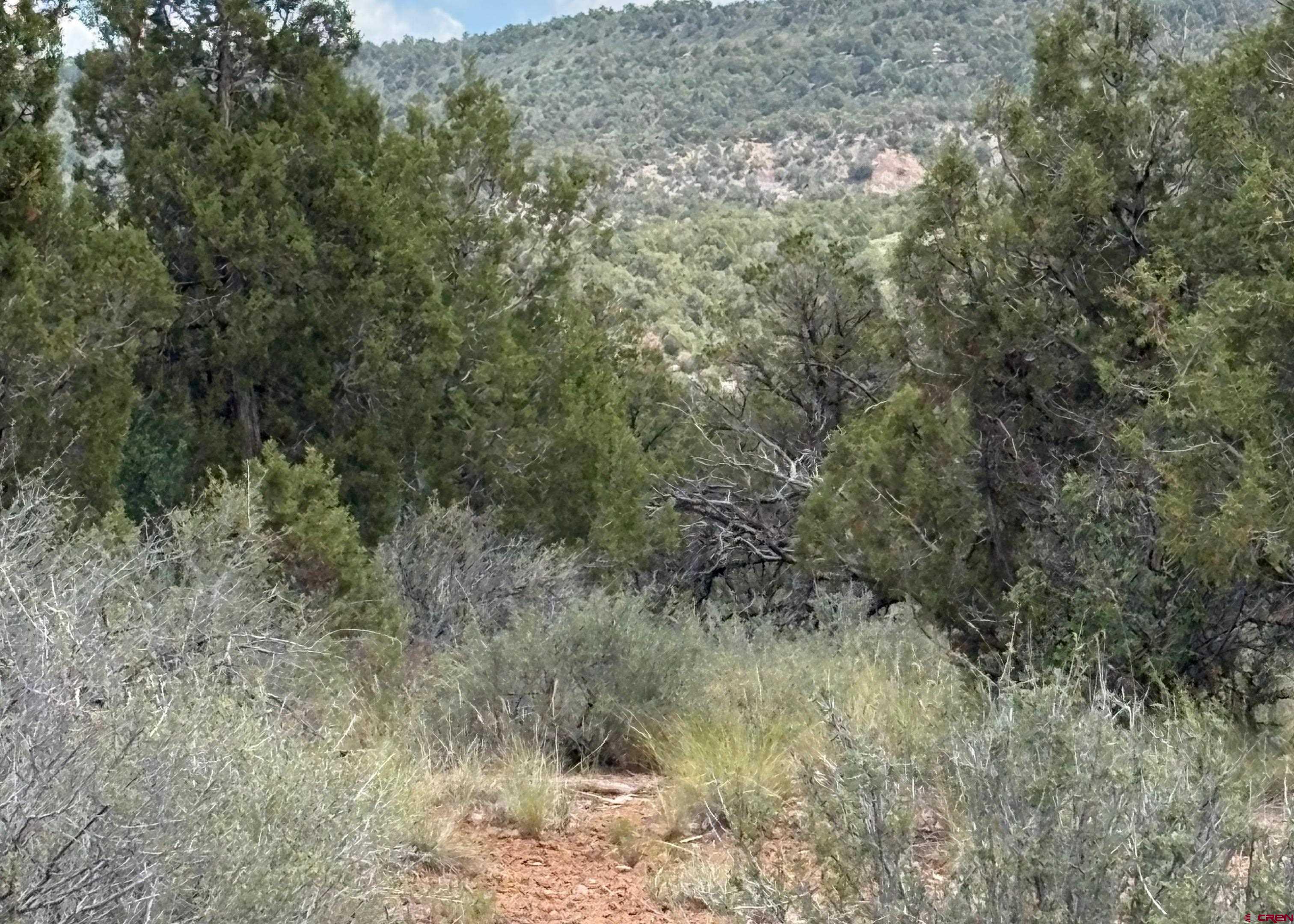 333 Cow Canyon Road Ignacio, CO 81137 - Photo 3 of 8
