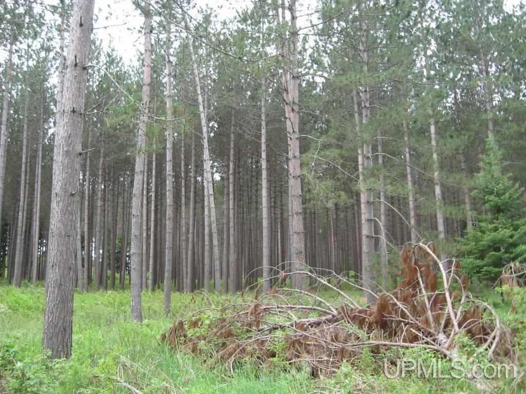 Tbd Co Rd H26 Rock, MI 49880 - Photo 16 of 17