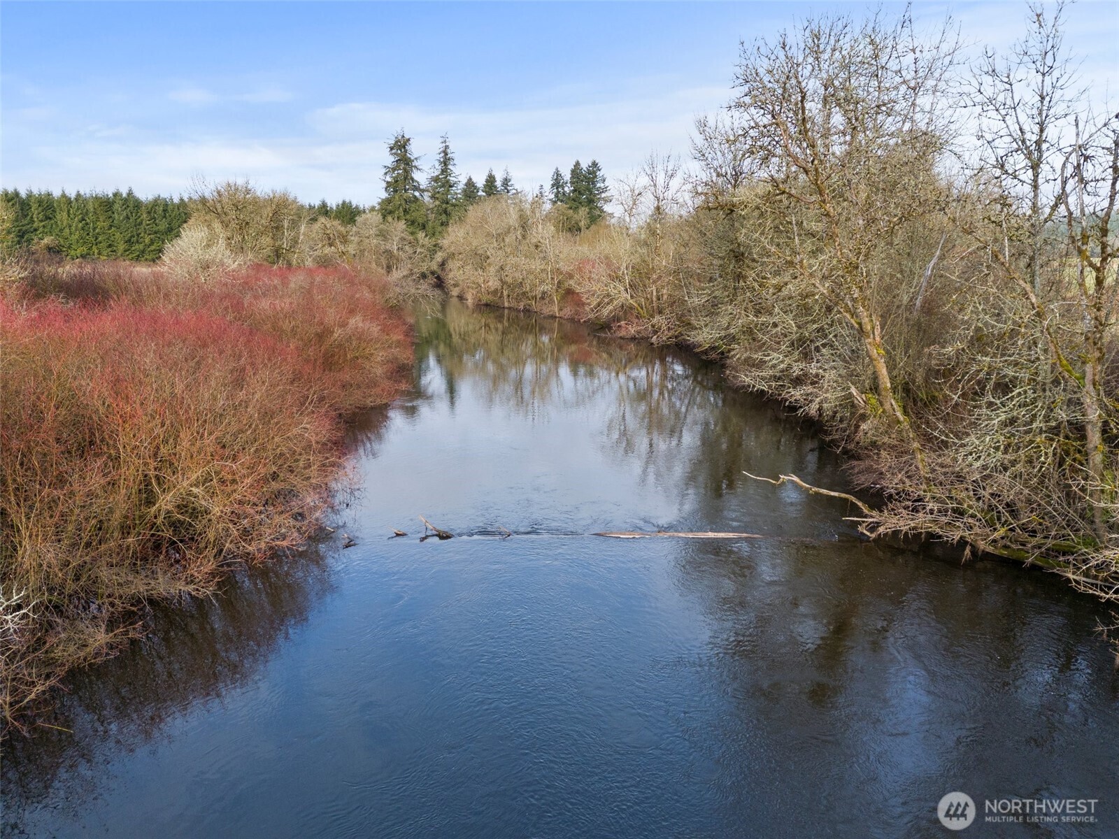 0 Elma Gate Road East Oakville, WA 98568 - Photo 17 of 20