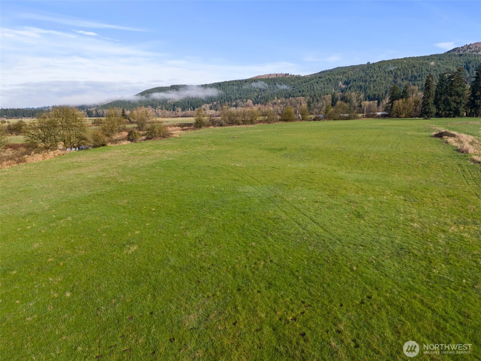 0 Elma Gate Road East Oakville, WA 98568 - Photo 19 of 20