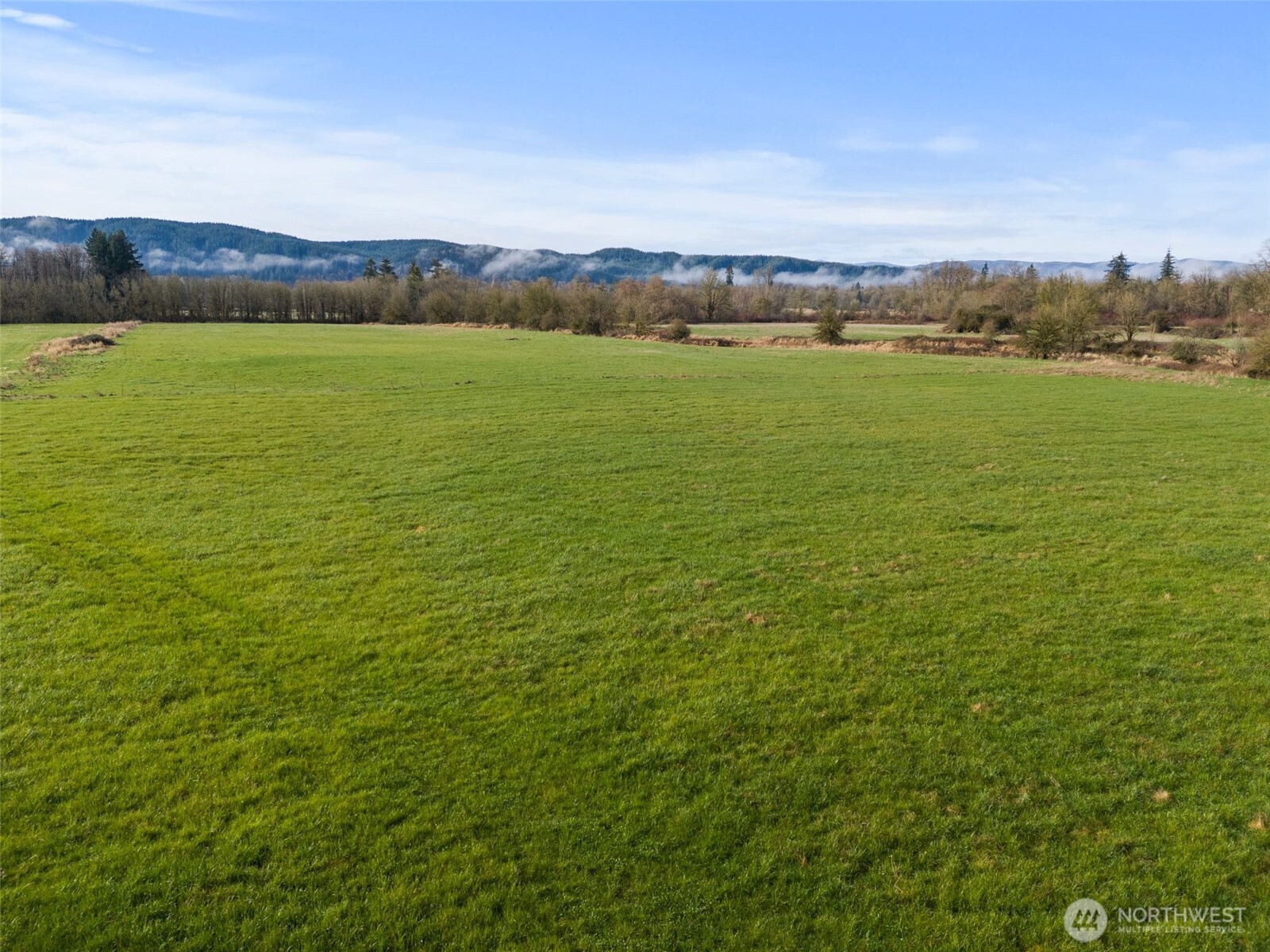 0 Elma Gate Road East Oakville, WA 98568 - Photo 20 of 20