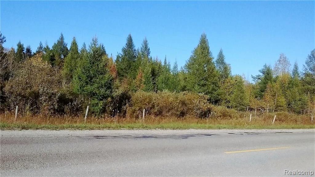 4950 East Levering Road Cheboygan, MI 49721 - Photo 3 of 7