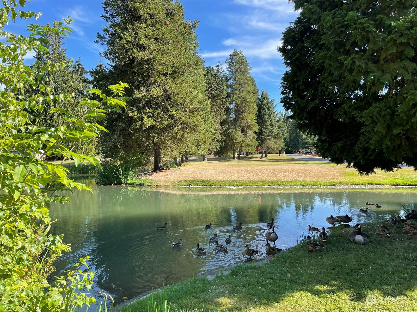 359 Dungeness Meadows Sequim, WA 98382 - Photo 35 of 37 a view of a water pond