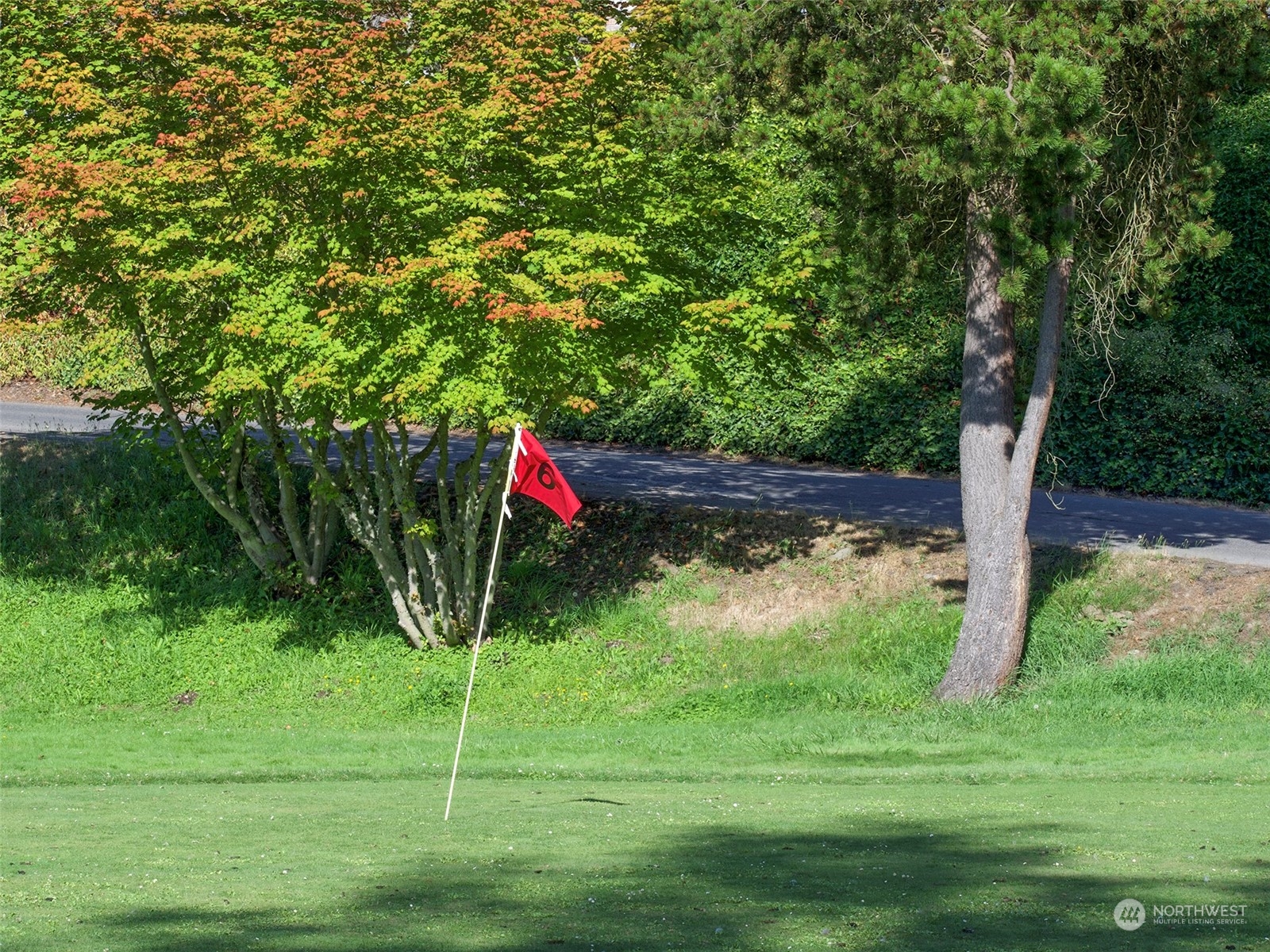359 Dungeness Meadows Sequim, WA 98382 - Photo 36 of 37 a backyard of a house with lots of green space