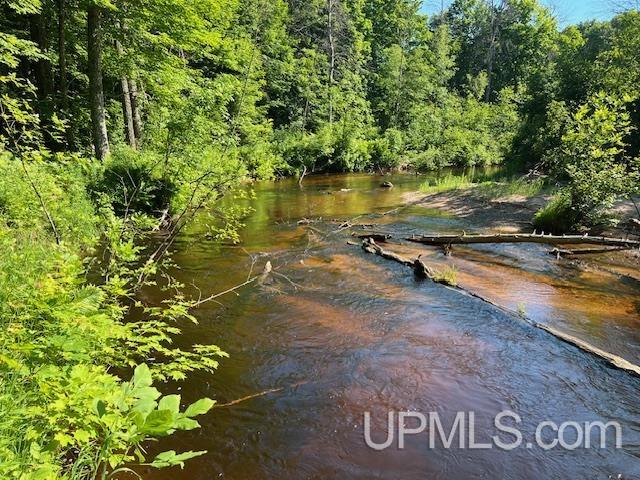 11.6 Acres Off Remington Road Marquette, MI 49855 - Photo 29 of 39
