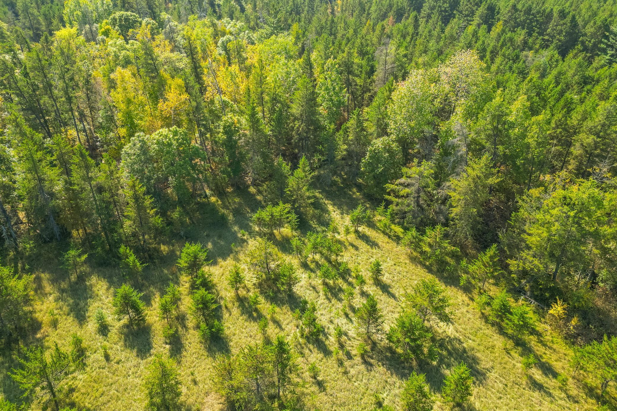 5895 Mapleton Road South Baxter, MN 56425 - Photo 13 of 50