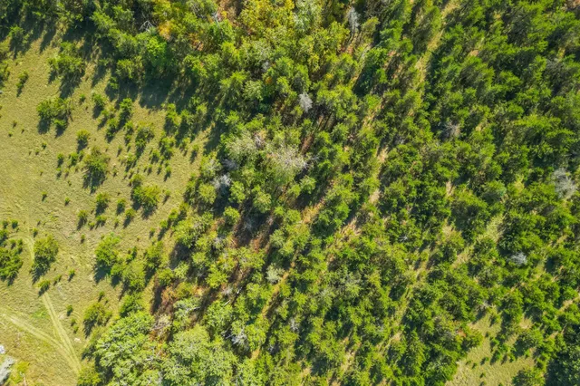 $874,000 | 5895 Mapleton Road South, Baxter, MN 56425