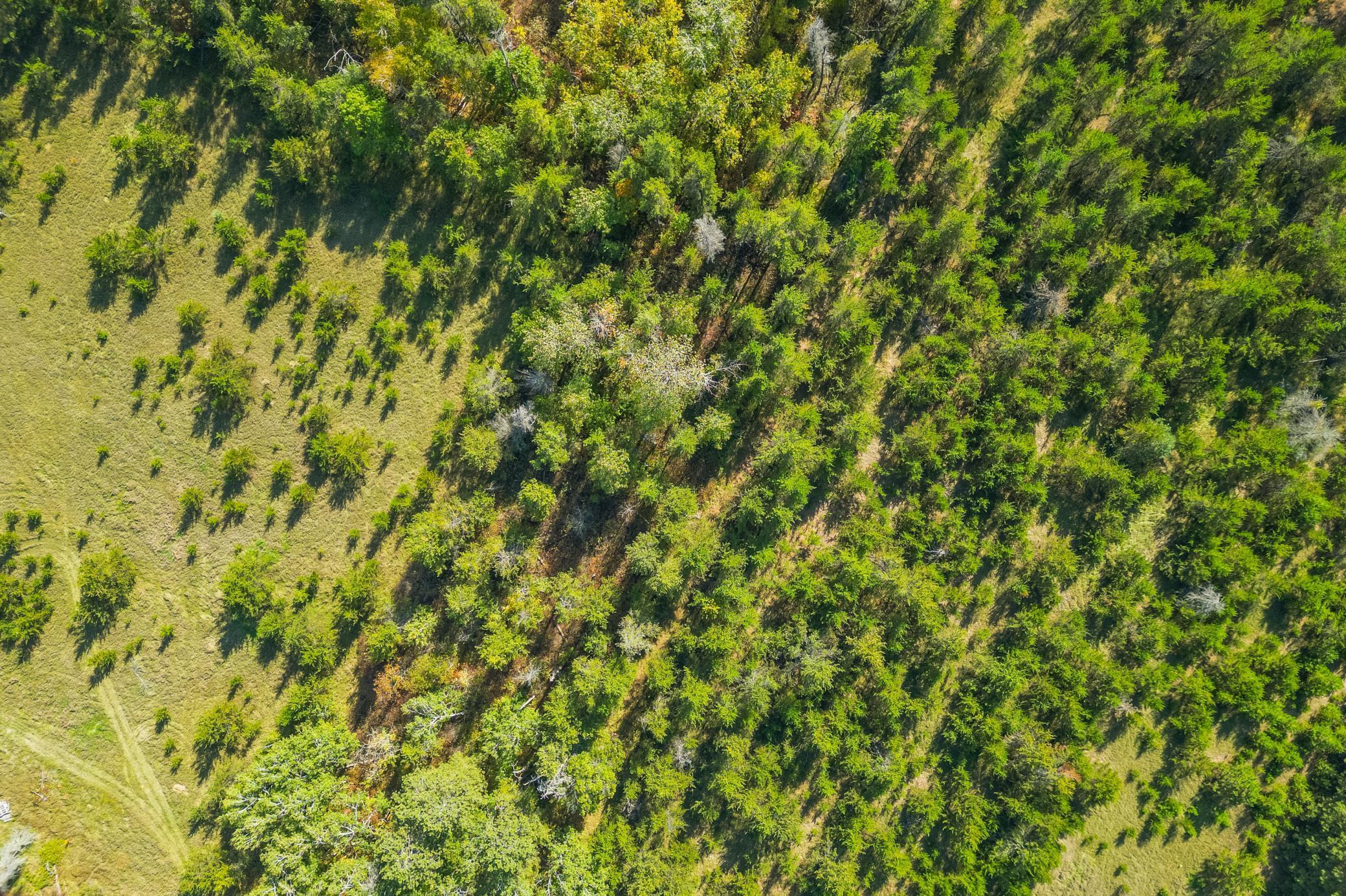 5895 Mapleton Road South Baxter, MN 56425 - Photo 14 of 50