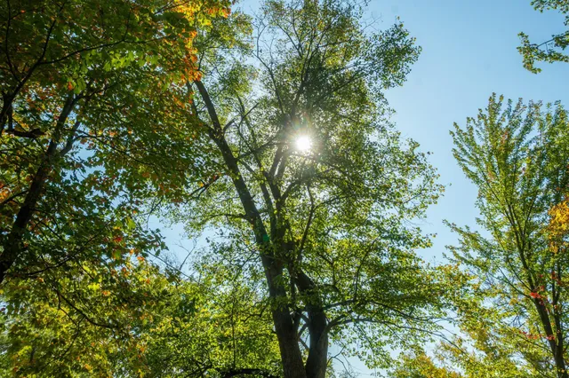 $874,000 | 5895 Mapleton Road South, Baxter, MN 56425