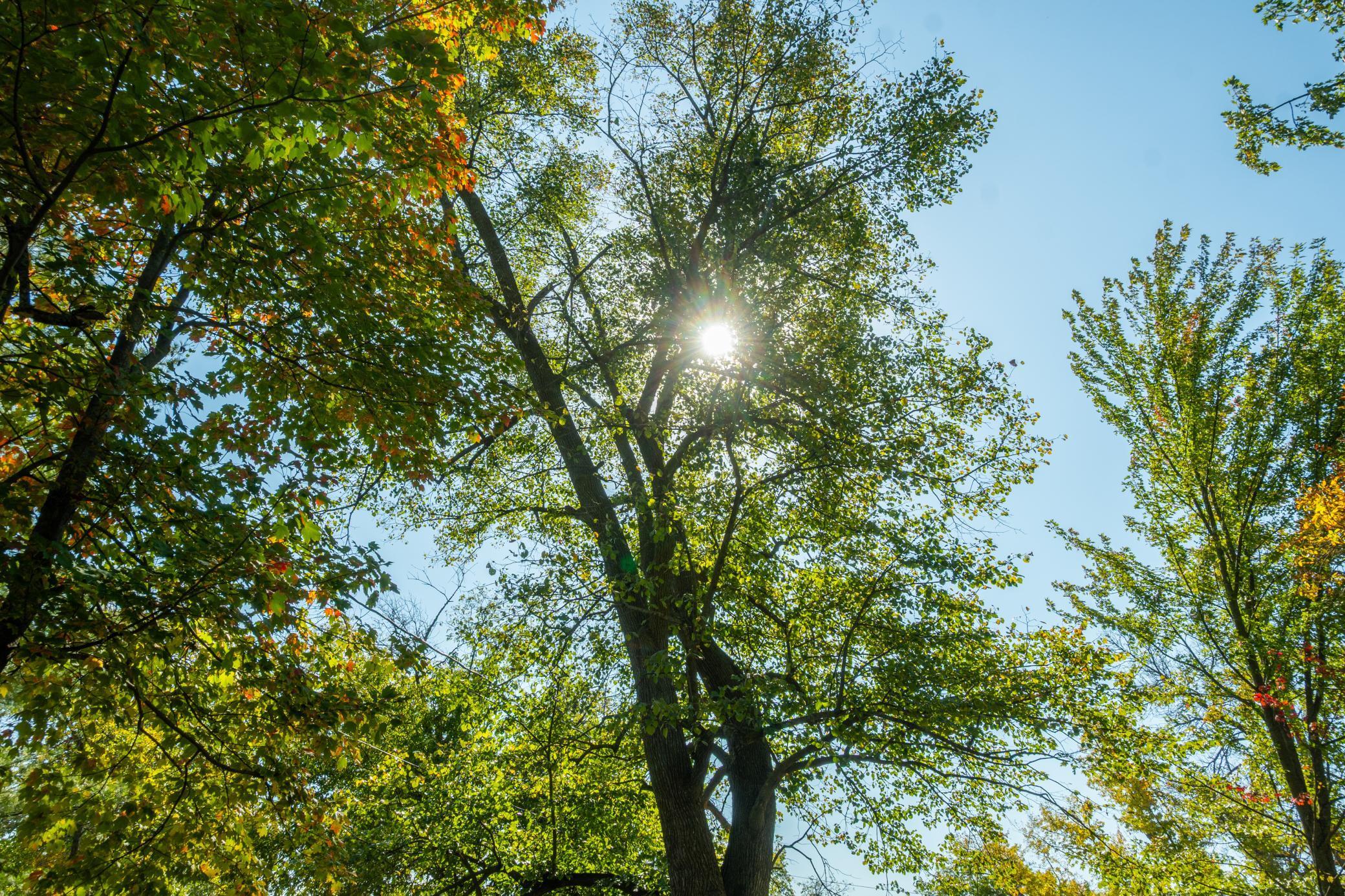 5895 Mapleton Road South Baxter, MN 56425 - Photo 18 of 50